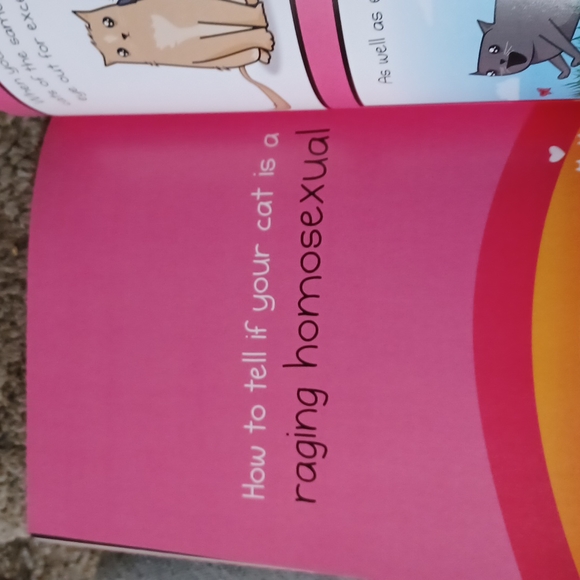 How to tell if your cat is plotting to kill you - Picture 10 of 12